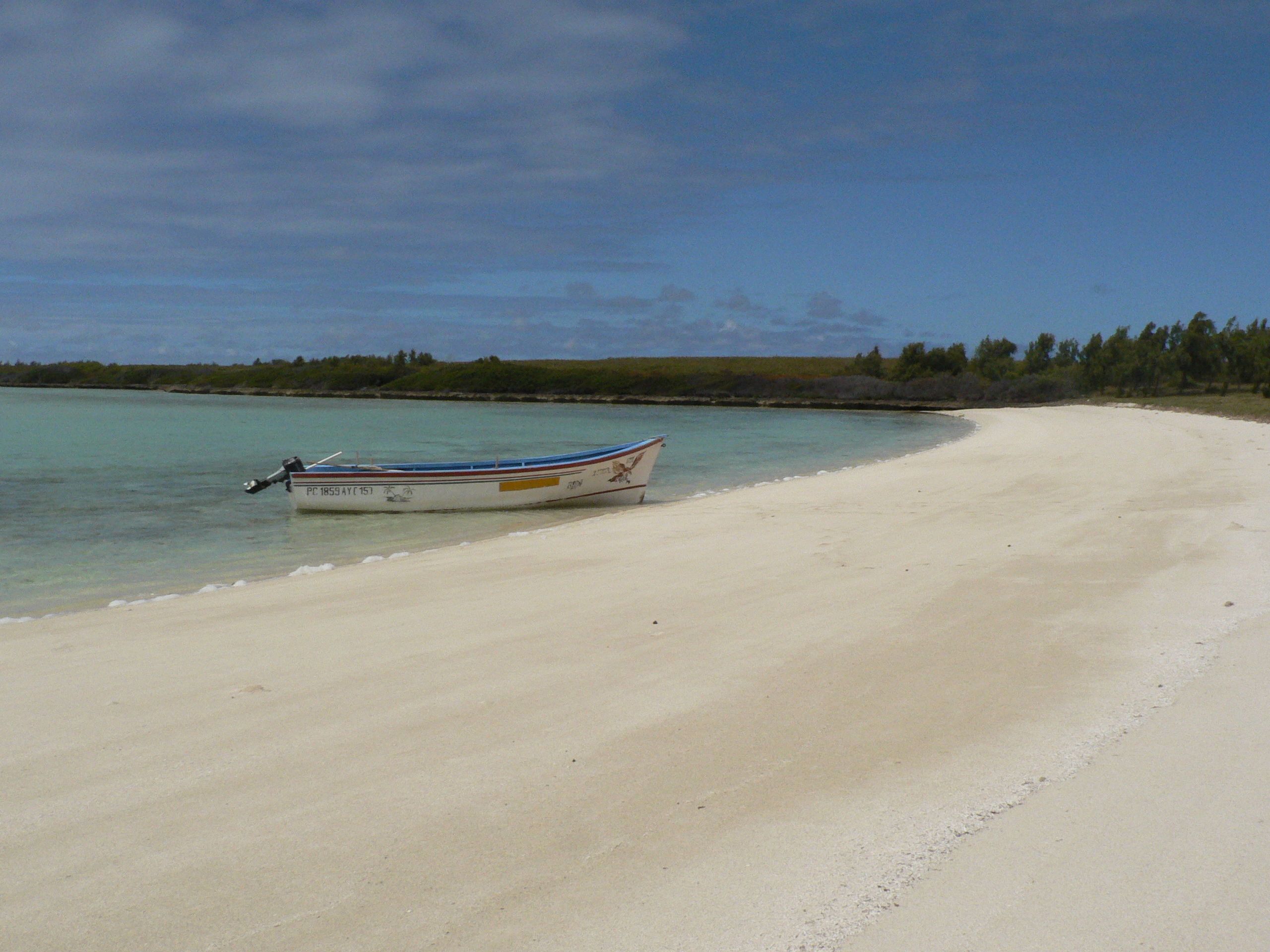 Ile aux chats