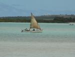 Ile aux chats