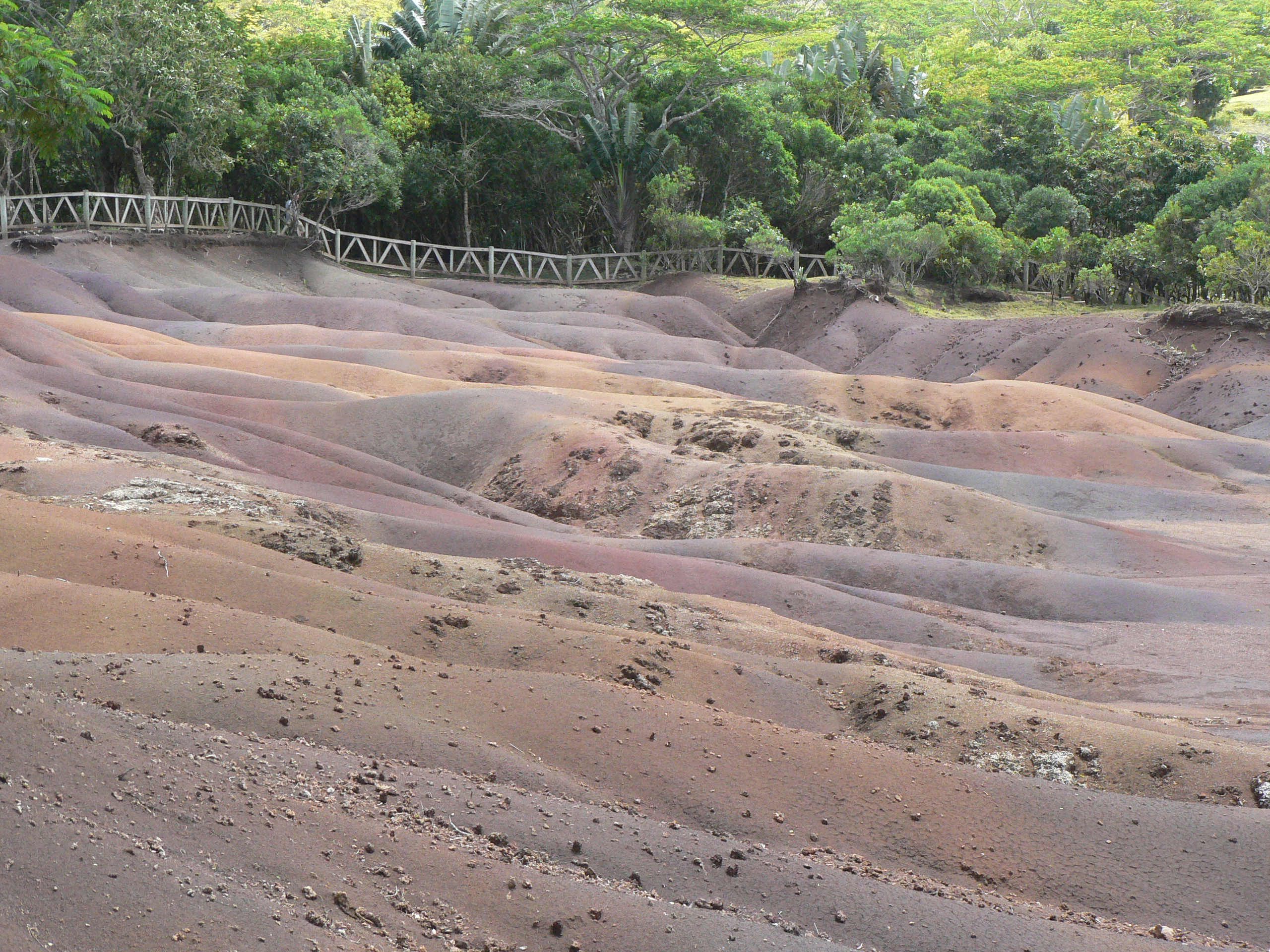 Chamarel