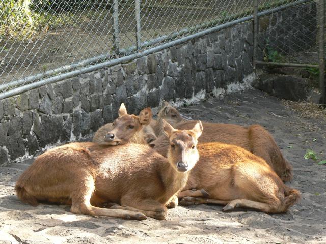 Parc La Vanille