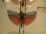 Parc La Vanille