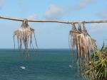 Anse Raffin